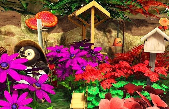 my garden