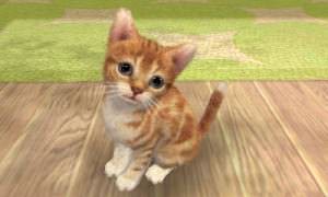 nintendogs_cats_nintendo_3ds_11