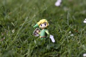 link_model