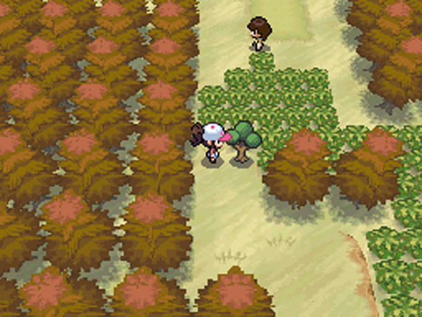 Pokemon-Black-White-2