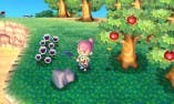 [Avance] Animal Crossing: Jump Out