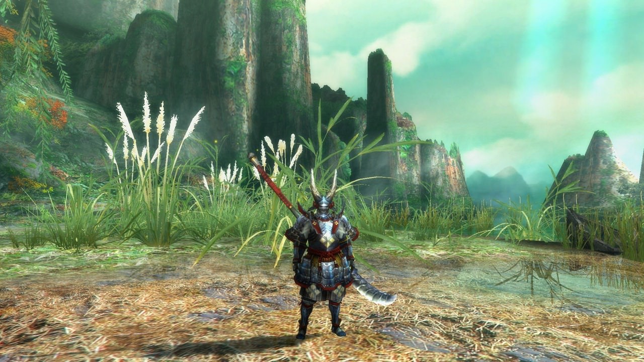 Monster hunter ultimate Wii U 4