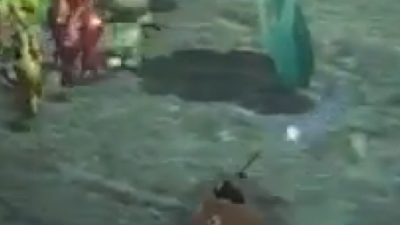 ¿Personajes Mii en Pikmin 3?