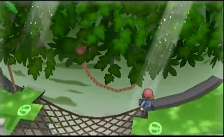 pokemonxy-tree