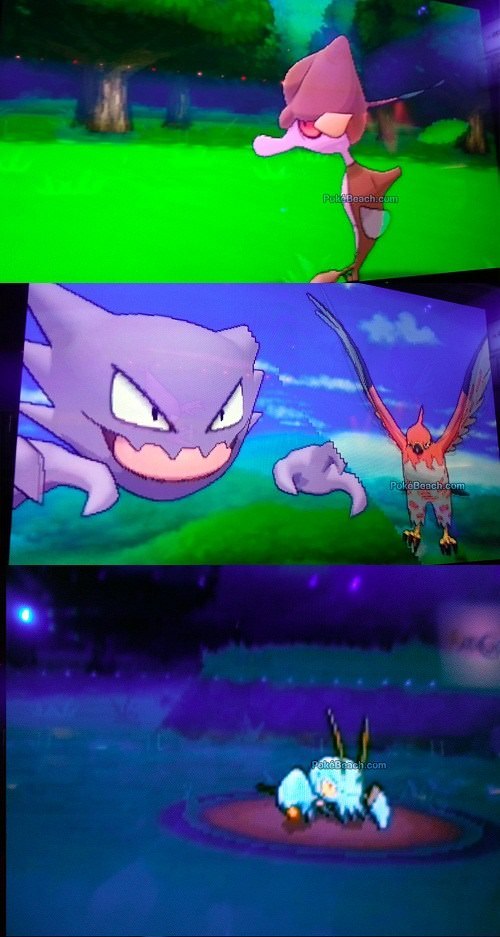 pokemon x Y mesa redonda