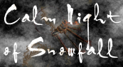 ‘Calm Night of Snowfall’ podría llegar a Wii U