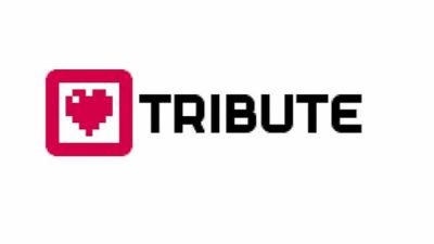 A la desarrolladora Tribute Games le gustaría volver a trabajar en las consolas de Nintendo