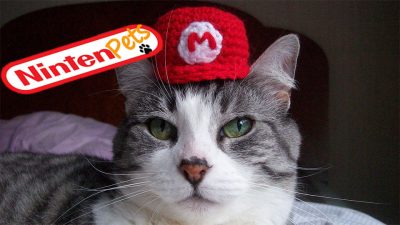 ¡Segunda entrega de NintenPets!