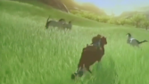 Todo lo que necesitas saber sobre el nuevo ‘The Legend of Zelda’ para Wii U