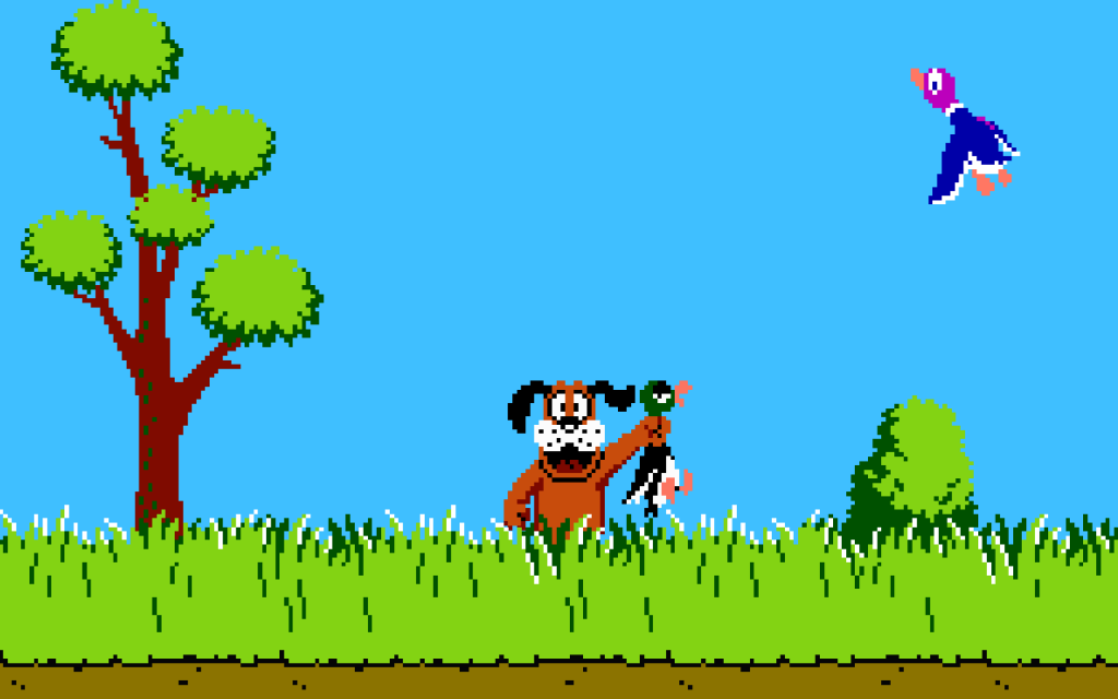 duck hunt