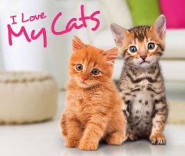 ILoveMyCats
