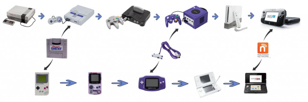 evolution_sized