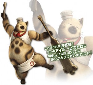 nyancook-300x276
