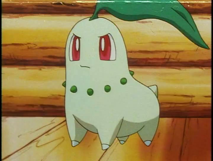 Jealous_Chikorita