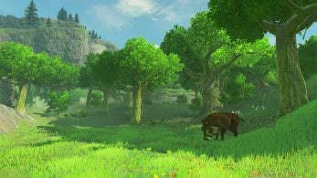 ‘Zelda: Breath of the Wild’ tendrá diferencias gráficas en NX