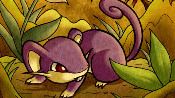 Terminan ‘Pokémon Rojo Fuego’ usando solamente un Rattata
