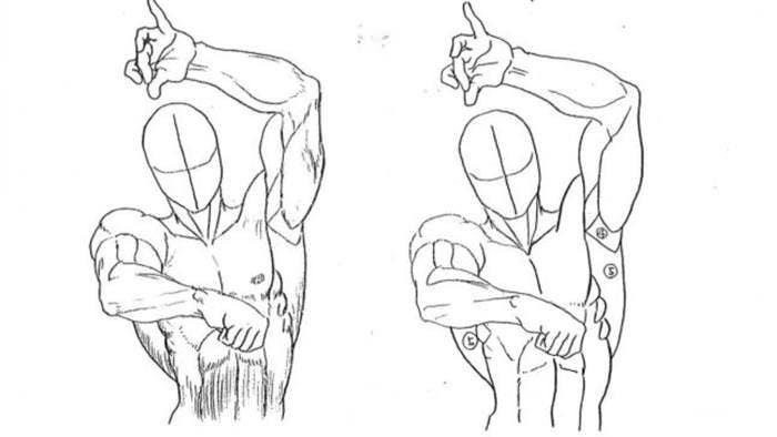 Echa un vistazo a la guía de anatomía oficial de Street Fighter que Capcom lleva usando durante dos décadas