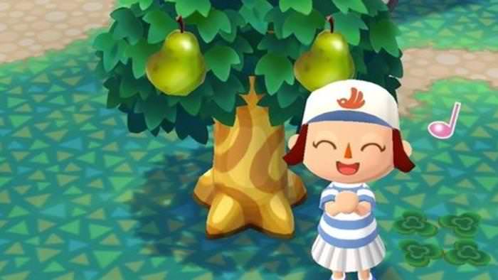 Nintendo cierra la cuenta de LINE de Animal Crossing: Pocket Camp