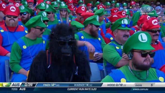 Fans del cricket se visten como Mario y Luigi durante un torneo