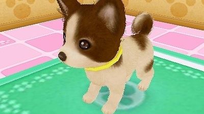 [Act.] Se anuncia Wan Nyan Dobutsu Byouin 3 para Nintendo 3DS en Japón
