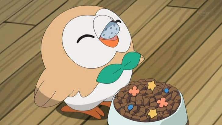 Fan ha imaginado cómo podría verse Rowlet en la vida real con este curioso fan-art