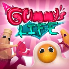 SQ_NSwitchDS_AGummysLife