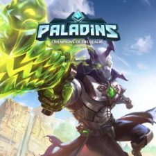 paladins icon