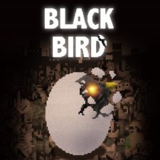 SQ_NSwitchDS_BlackBird