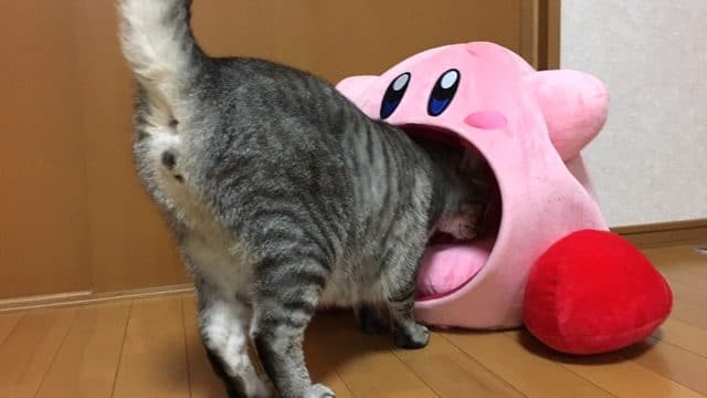 Mira estas curiosas fotos del nuevo cojín de Kirby