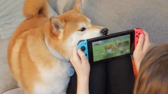 [Act.] Ronda de tráilers de Nintendo Switch: Guilty Gear XX Accent Core Plus R, Little Friends: Dogs & Cats, Ninja Box y Fishing Spirits