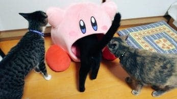 Este es el uso que han dado algunas mascotas a los cojines de Kirby