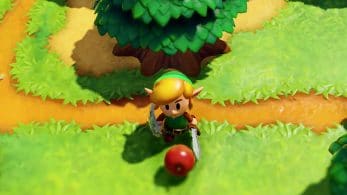 Explicación y solución a las pequeñas caídas en el framerate de Zelda: Link’s Awakening