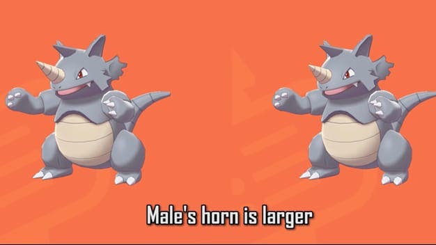Estas son todas las diferencias entre Pokémon masculinos y femeninos en Pokémon Espada y Escudo