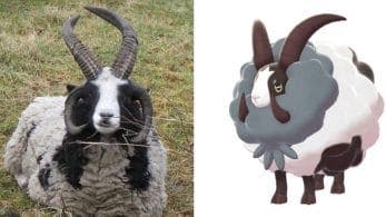 Conoce las razas de ovejas en las que están basadas Wooloo y Dubwool de Pokémon Espada y Escudo
