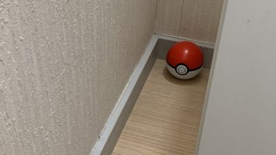Solo los más fans de Pokémon entenderán esta imagen viral