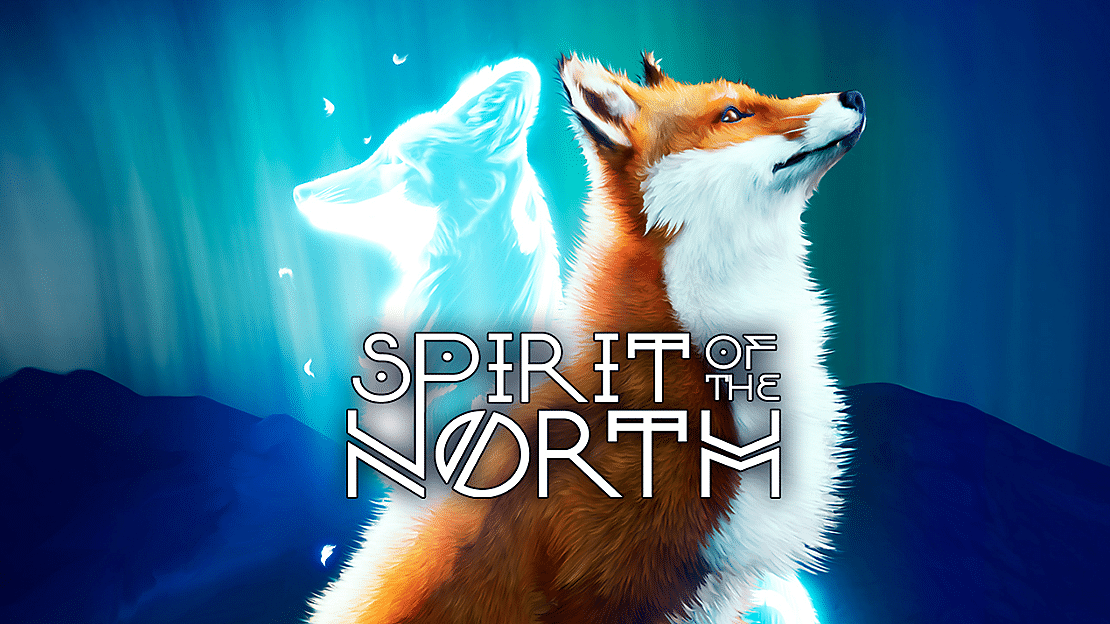 spirit of the north switch review