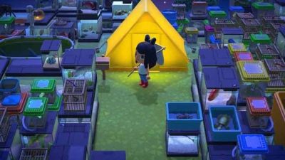 Descubre por qué los jugadores de Animal Crossing: New Horizons están llenando sus islas de bichos y peces