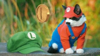 Este vídeo nos muestra cómo sería Super Mario Bros. si estuviera protagonizado por un gato real