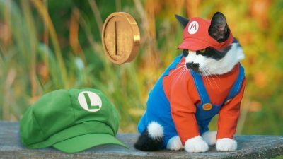 Este vídeo nos muestra cómo sería Super Mario Bros. si estuviera protagonizado por un gato real