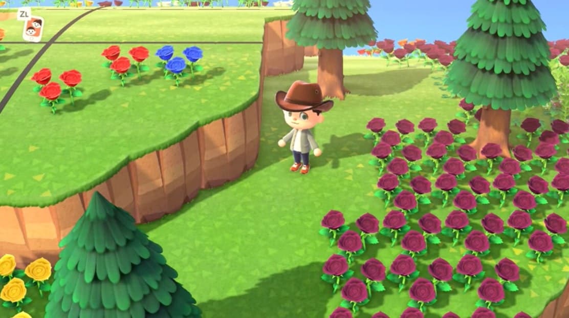 Cómo obtener rosas azules garantizadas al 100% en Animal Crossing: New Horizons