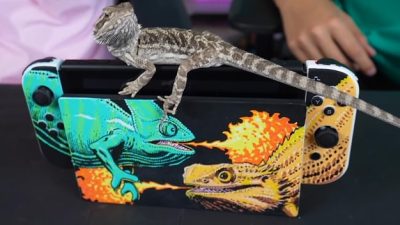 Artistas crean 100 diseños personalizados de Nintendo Switch y Switch Lite