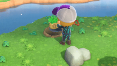 Facebook parece estar eliminando publicaciones de Animal Crossing que mencionan «hierbas»