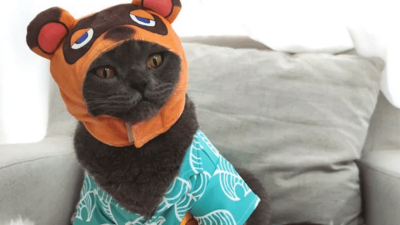 Este merchandise no oficial de Animal Crossing: New Horizons te permite vestir a tu gato como Tom Nook