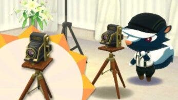 Ya puedes crear la cámara de Betunio en Animal Crossing: Pocket Camp
