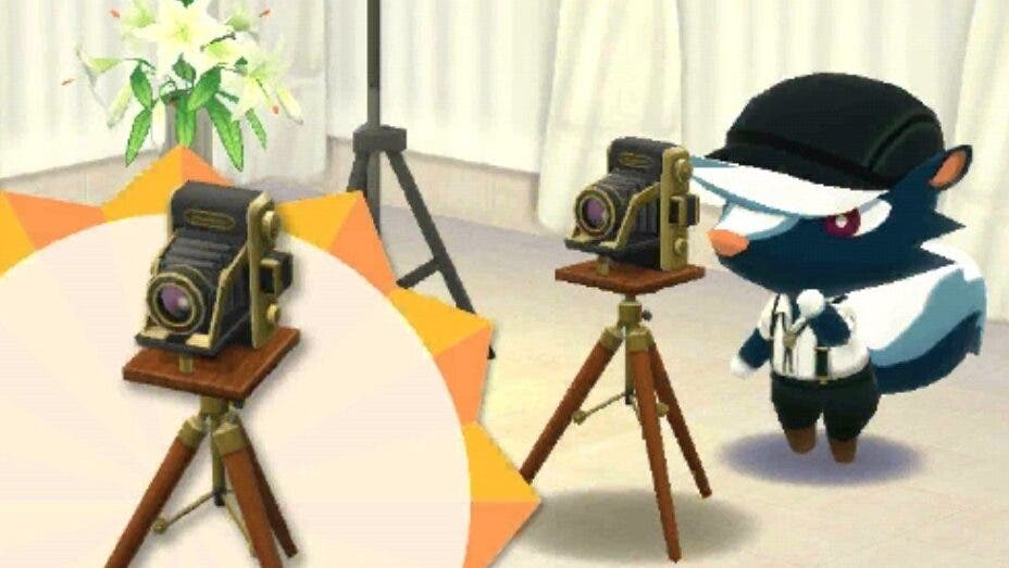 Ya puedes crear la cámara de Betunio en Animal Crossing: Pocket Camp