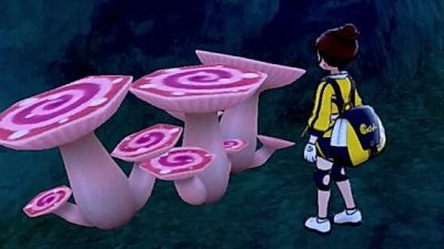 Cómo conseguir más Maxisetas en La isla de la armadura de Pokémon Espada y Escudo