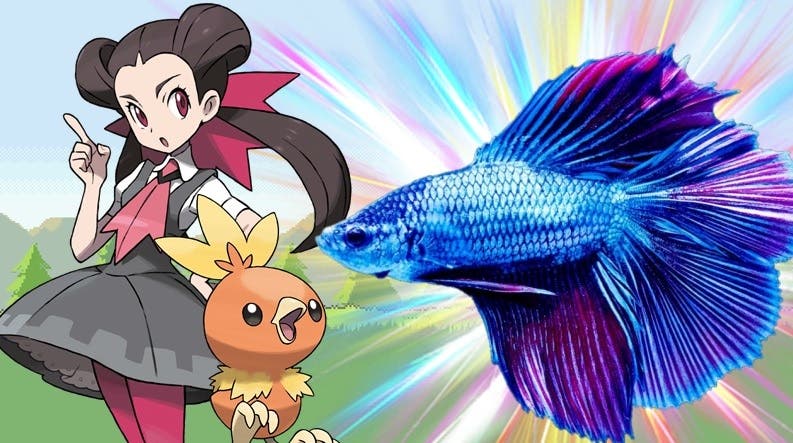 Este pez mascota ya ha superado dos gimnasios de Pokémon Rubí