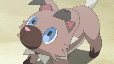Logan Paul comparte cómo su perro mordió una rara carta Pokémon valorada en 25.000 dólares