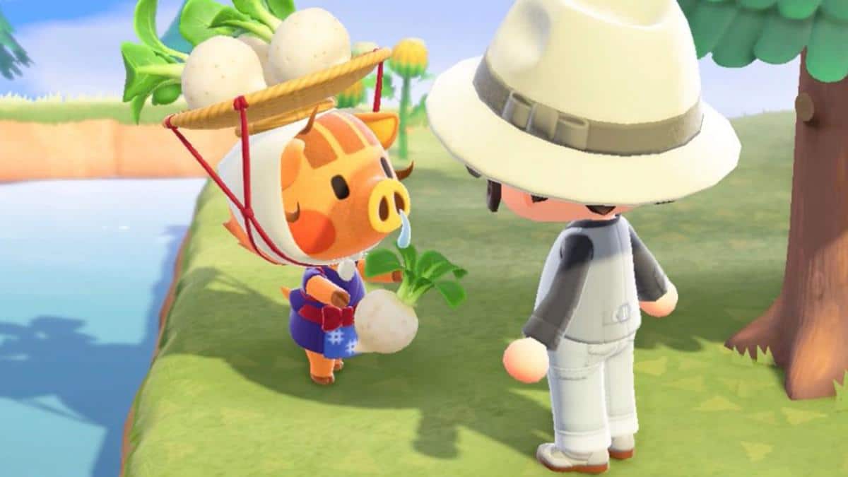 El mercado de nabos de Animal Crossing: New Horizons anima a algunos jugadores a invertir dinero real en acciones