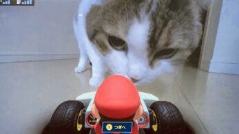 El gato de Masahiro Sakurai también se divierte con Mario Kart Live: Home Circuit
